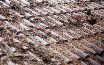 Bromlow roof cleaning companies