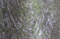 Bromlow fibreglass roof work